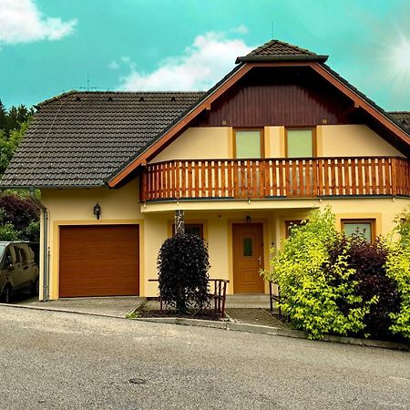 Villa Slupecna Lipno nad Vltavou Kültér fotó